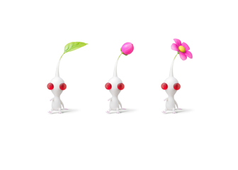 three little white creatures