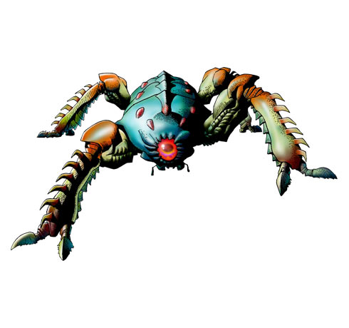 spider