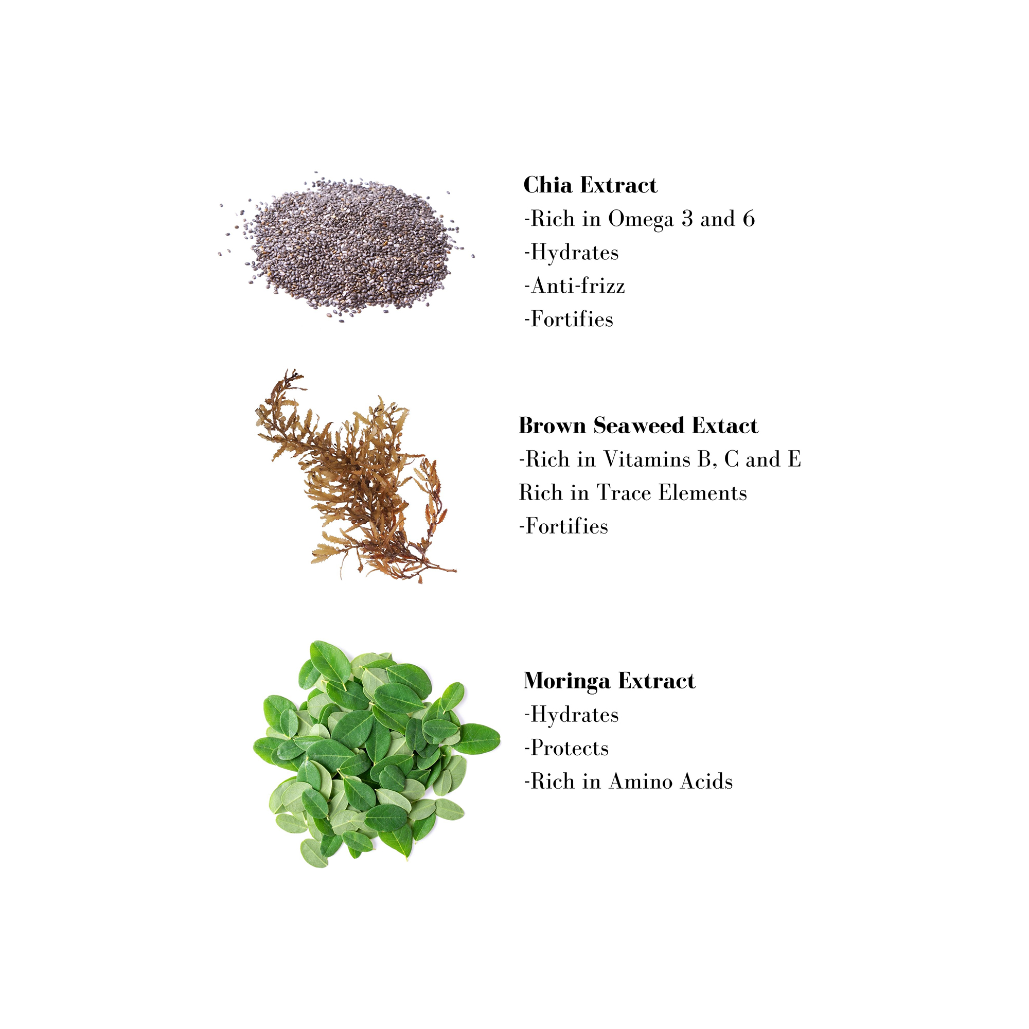 Image 1- Chia Extract -Rich in Omega 3 and 6 -Hydrates -Anti-frizz -Fortifies
              Brown Seaweed Extact -Rich in Vitamins B, C and E Rich in Trace Elements -Fortifies Moringa Extract -Hydrates -Protects -Rich in Amino Acids