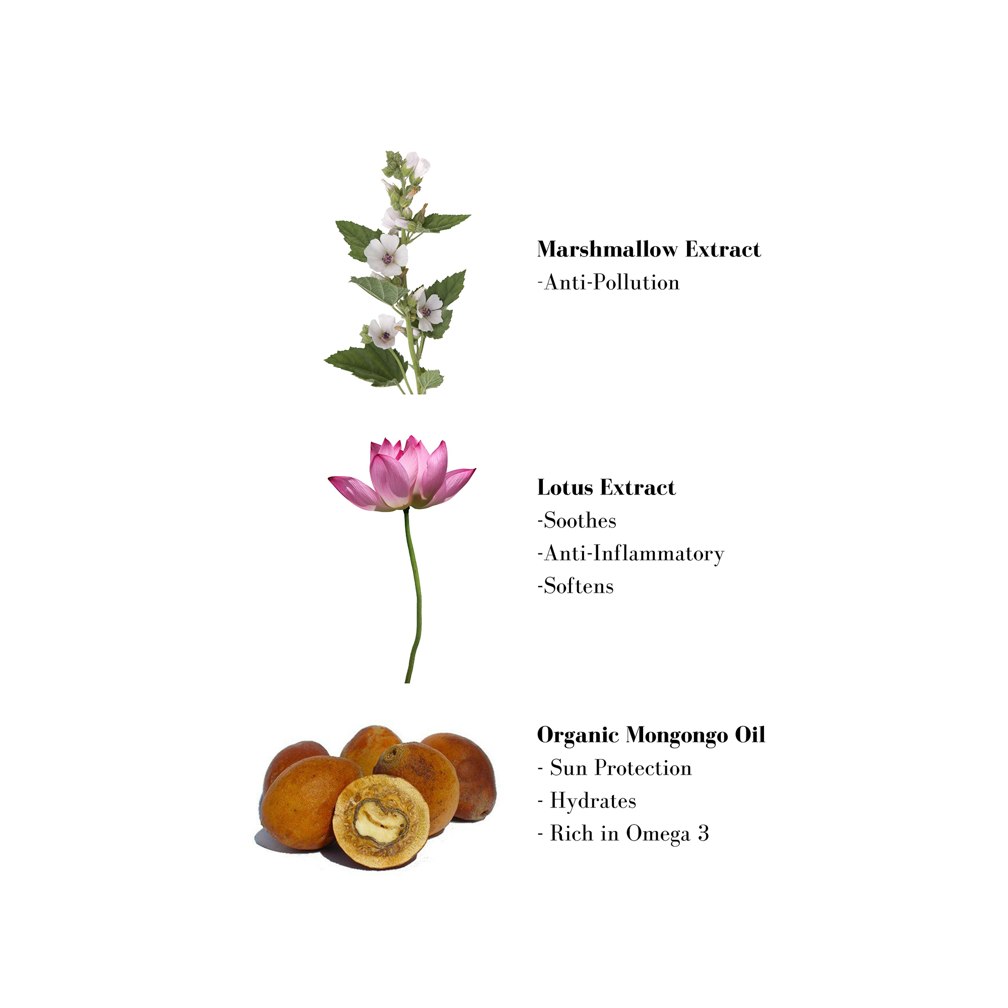 Image 1- Marshmallow Extract -Anti-Pollution Lotus Extract -Soothes -Anti-Inflammatory -Softens Organic Mongongo Oil - Sun Protection - Hydrates - Rich in Omega 3