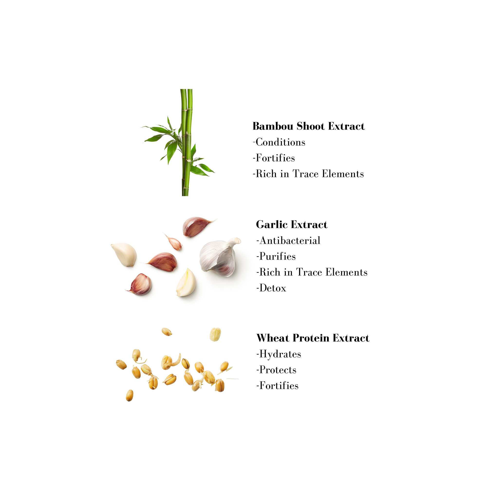 Image 1- Bambou Shoot Extract -Conditions -Fortifies -Rich in Trace Elements Garlic Extract -Antibacterial -Purifies -Rich in Trace Elements -Detox Wheat Protein Extract -Hydrates -Protects -Fortifies