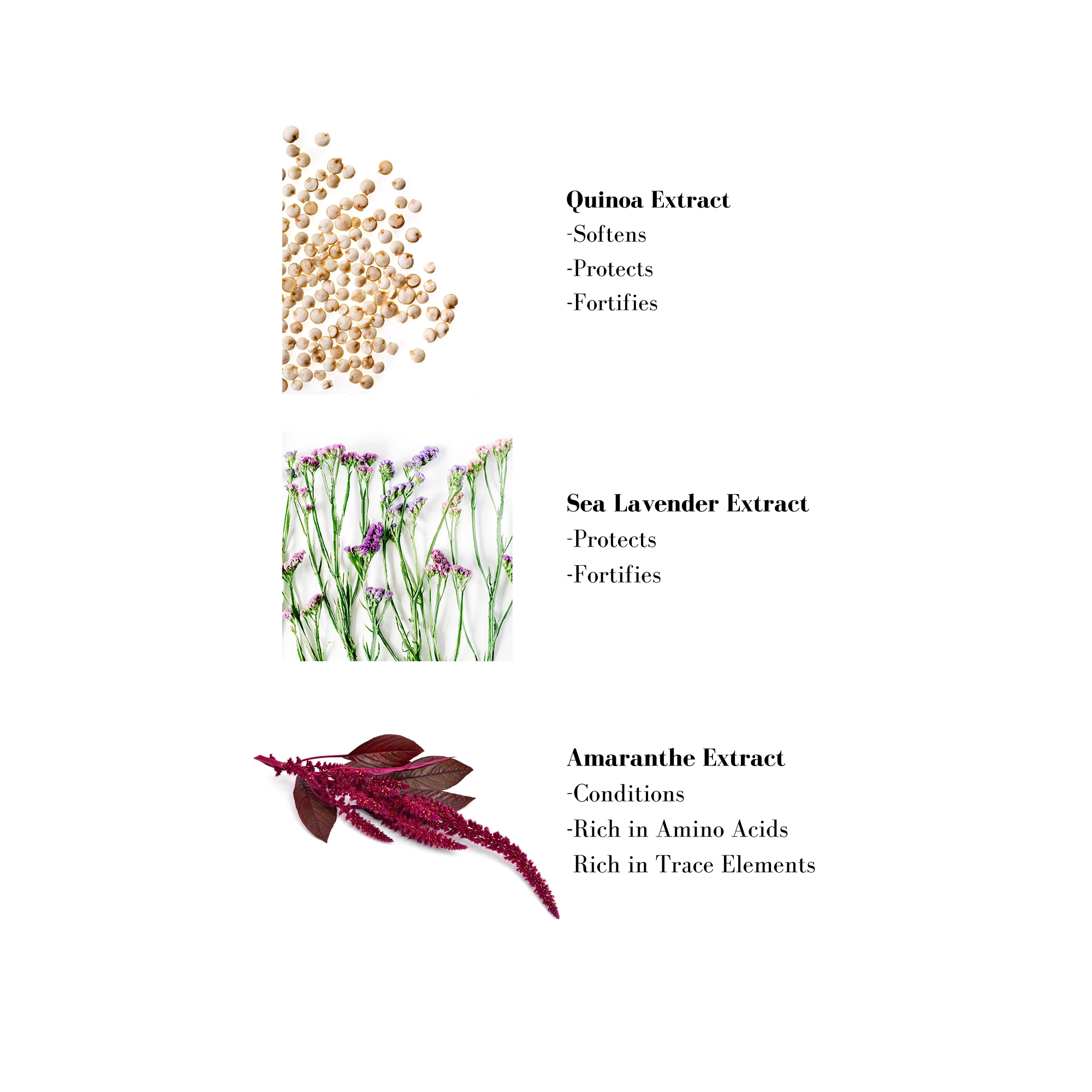 Image 1- Quinoa Extract -Softens -Protects -Fortifies Sea Lavender Extract - Protects -Fortifies Amaranthe Extract -Conditions -Rich in Amino Acids Rich in Trace Elements