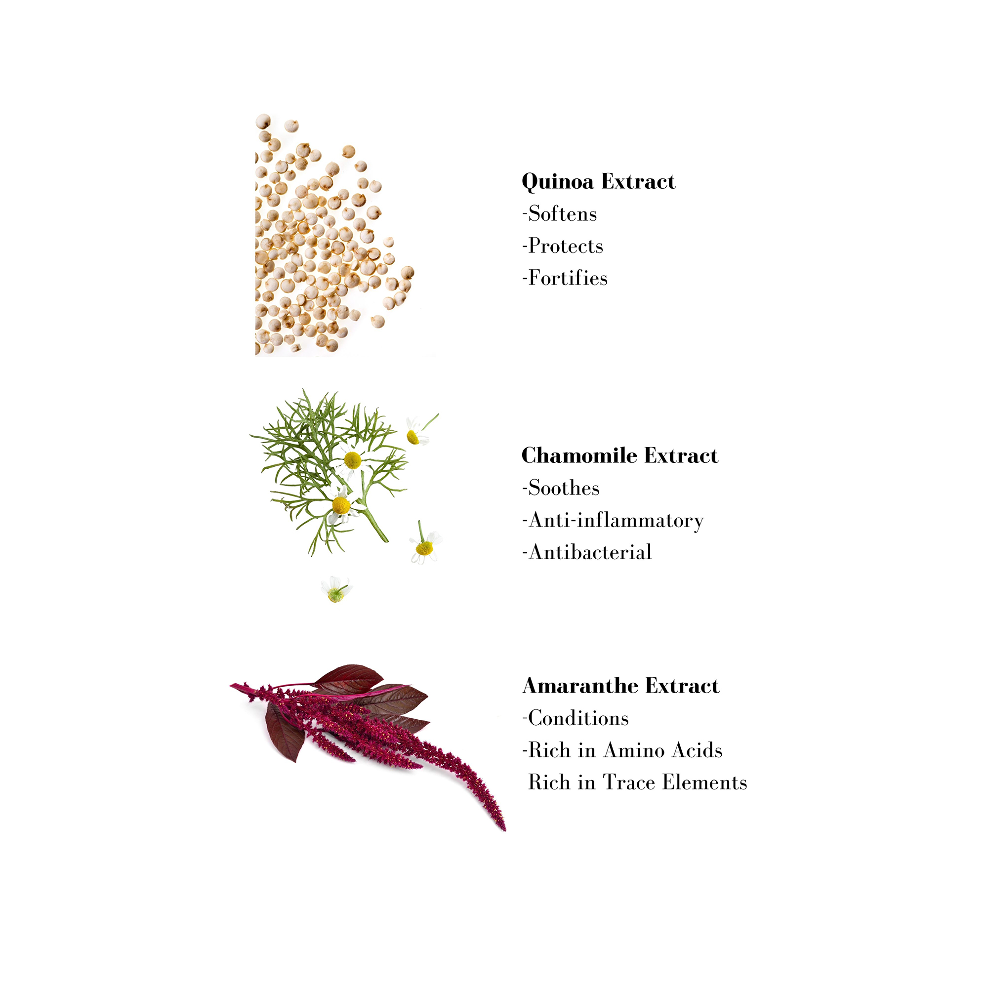 Image 1- Quinoa Extract -Softens - Protects -Fortifies Chamomile Extract -Soothes -Anti-inflammatory -Antibacterial Amaranthe Extract -Conditions -Rich in Amino Acids Rich in Trace Elements
