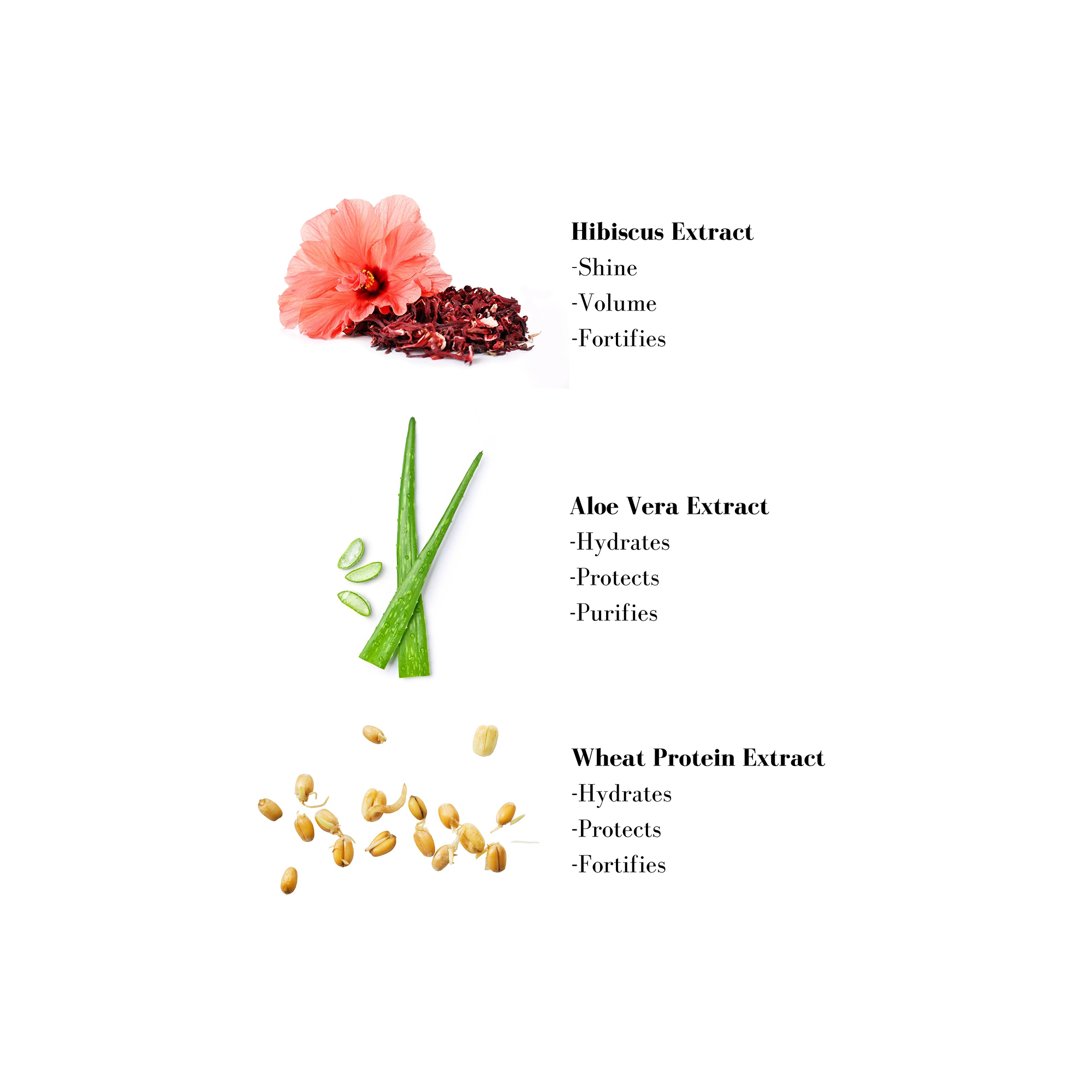Image 1- Hibiscus Extract -Shine - Volume -Fortifies Aloe Vera Extract -Hydrates -Protects -Purifies Wheat Protein Extract -Hydrates -Protects -Fortifies