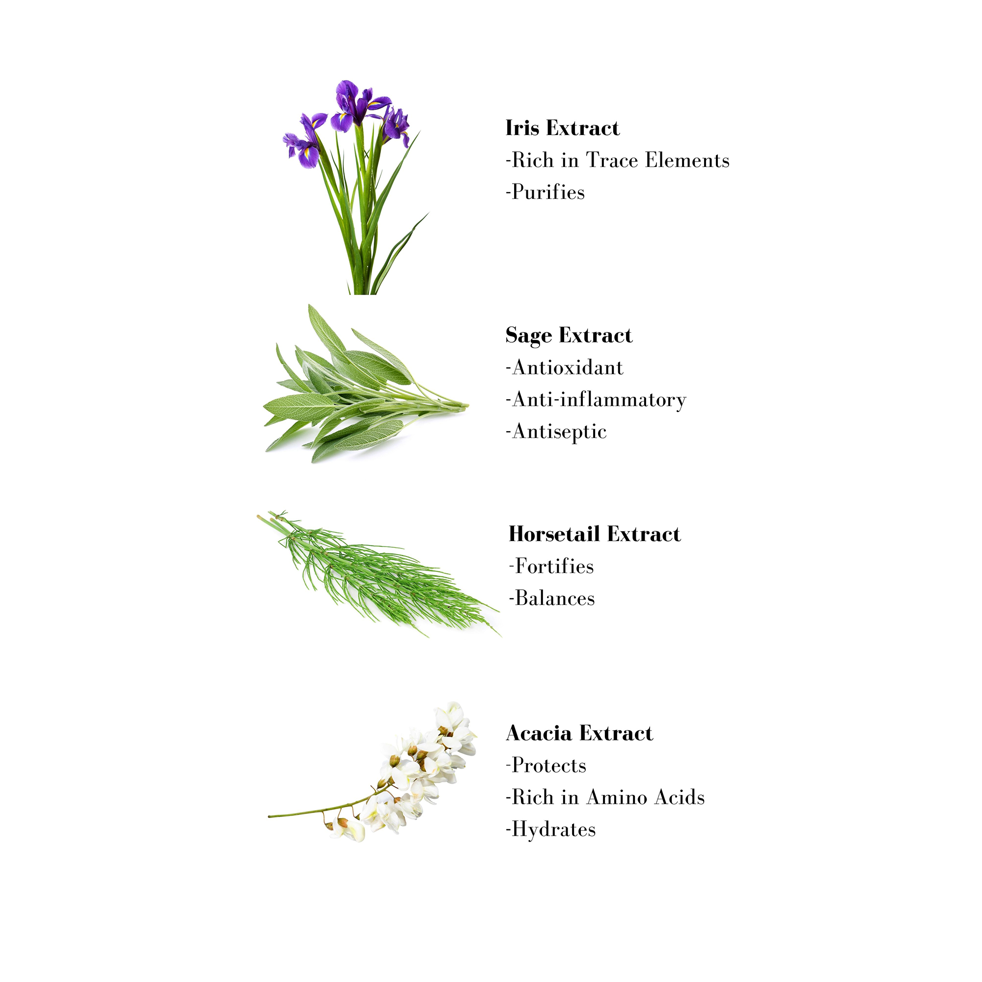 Image 1- Iris Extract -Rich in Trace Elements -Purifies Sage Extract -Antioxidant -Anti-inflammatory -Antiseptic Horsetail Extract -Fortifies -Balances Acacia Extract - Protects -Rich in Amino Acids -Hydrates