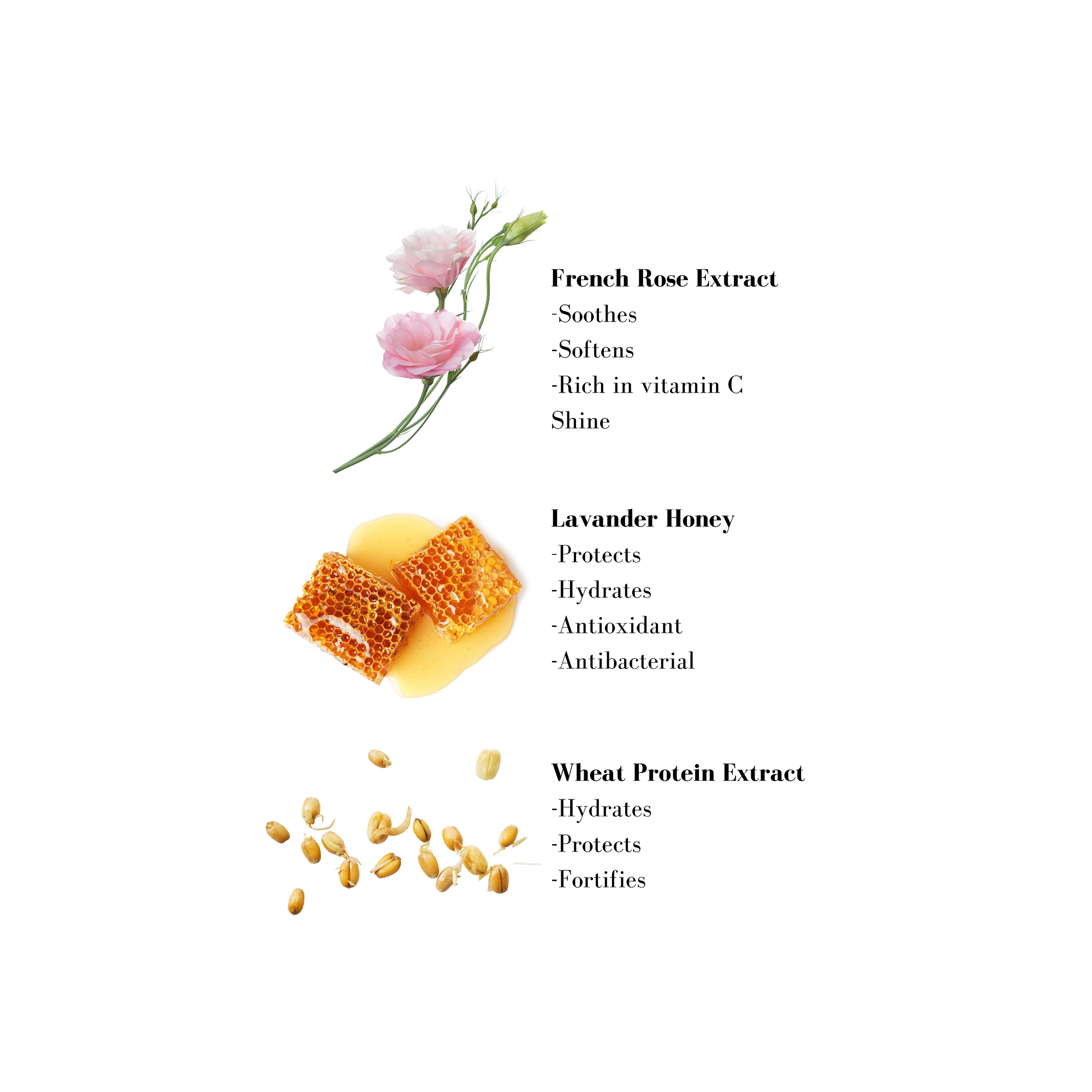Image 1- French Rose Extract -Soothes -Softens -Rich in vitamin C Shine Lavander Honey -Protects -Hydrates -Antioxidant -Antibacterial Wheat Protein Extract -Hydrates -Protects -Fortifies