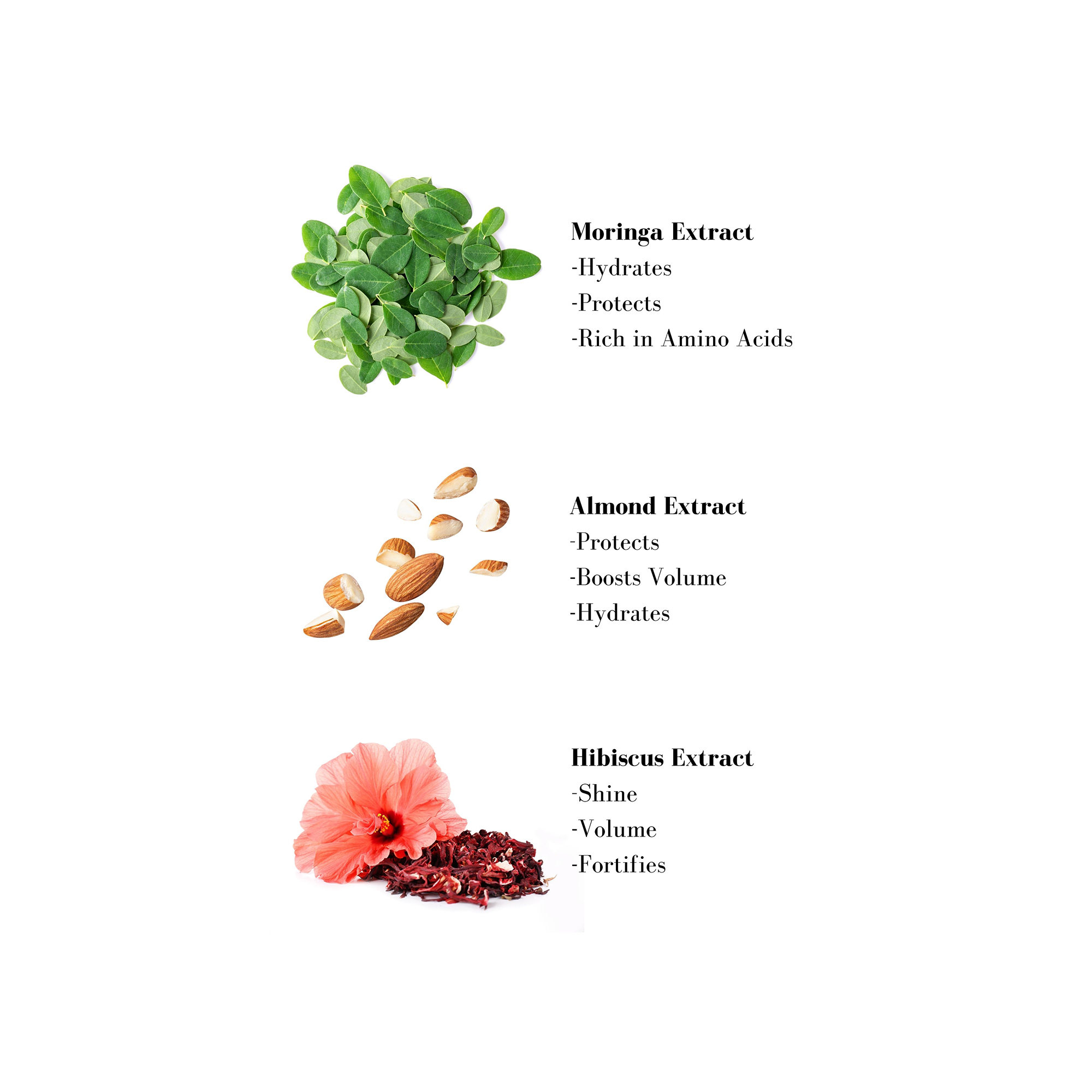 Image 1- Moringa Extract -Hydrates -Protects -Rich in Amino Acids Almond Extract -Protects -Boosts Volume -Hydrates Hibiscus Extract -Shine - Volume -Fortifies