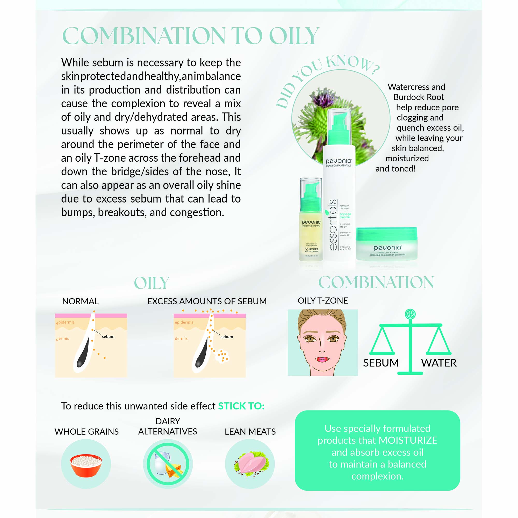 Image 7 - Infographic explaining skin types, focusing on combination to oily skin, with text discussing the effects of sebum, recommendations for reducing oiliness, and products featuring pevonian ingredients, including illustrations of skin layers and dietary suggestions such as whole grains, dairy alternatives, and lean meats. Visible text includes DID YOU KNOW? Watercress and Burdock Root help reduce pore clogging and quench excess oil, while leaving your skin balanced, moisturized and toned! and To reduce this unwanted side effect STICK TO: WHOLE GRAINS DAIRY ALTERNATIVES LEAN MEATS.