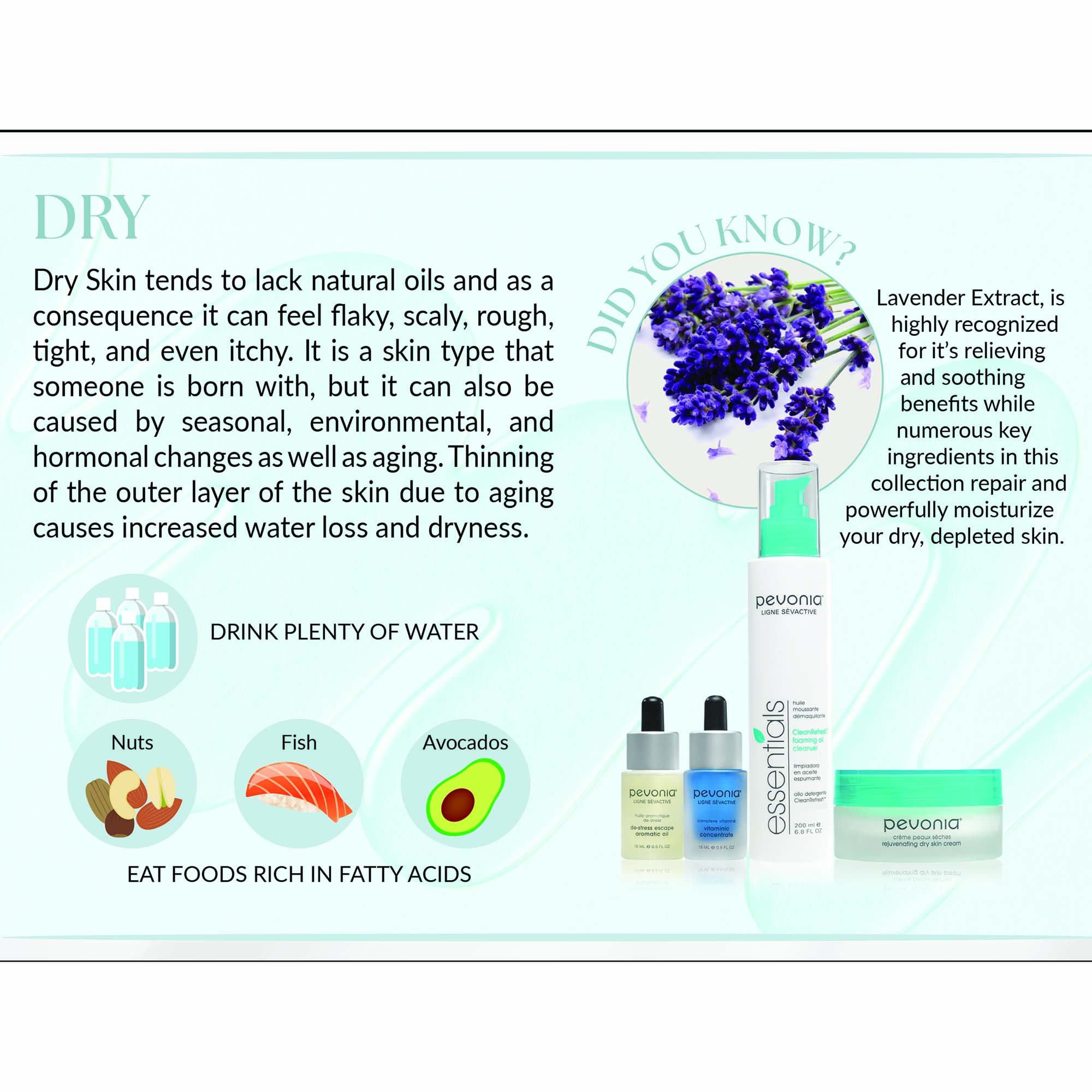 Image 7 - An informative graphic about dry skin features a description of dry skins characteristics and causes, alongside tips like drinking plenty of water and eating foods rich in fatty acids, with images of nuts, fish, and avocados, plus Pevonia skincare products, a lavender flower, and text stating lavender extract is recognized for its soothing benefits.