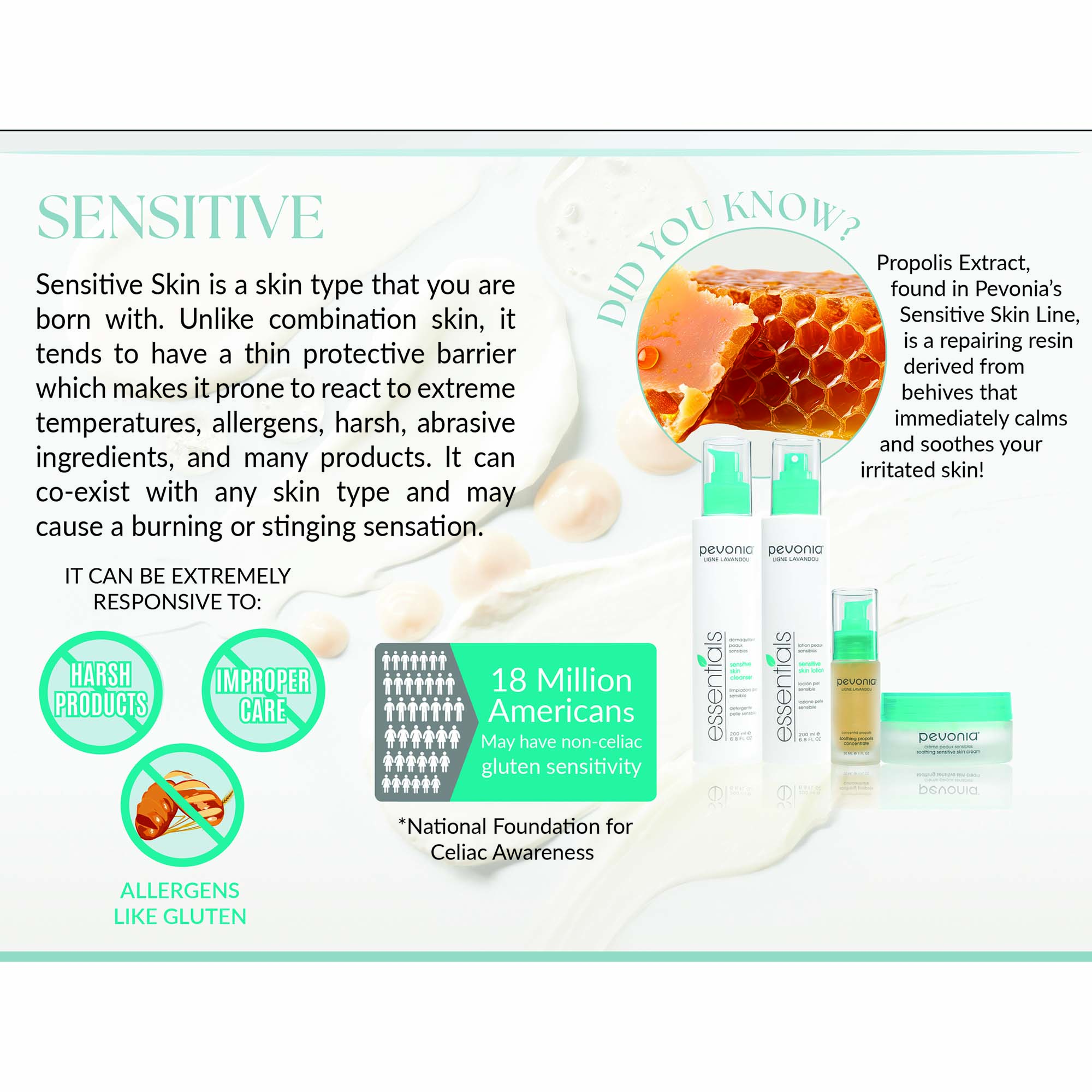 Image 7 - Image description of a skincare product for sensitive skin, featuring text that explains sensitive skin characteristics, a statistic about Americans with gluten sensitivity, and information about Propolis Extract in a cosmetic line; visible text includes SENSITIVE, DID YOU KNOW? IT CAN BE EXTREMELY RESPONSIVE TO, HARSH PRODUCTS, IMPROPER CARE, ALLERGENS LIKE GLUTEN, and 18 Million Americans May have non-celiac gluten sensitivity.