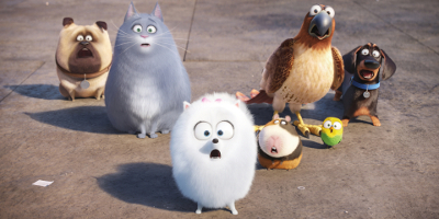 Still from the film showing a group of pets staring towards the camera.