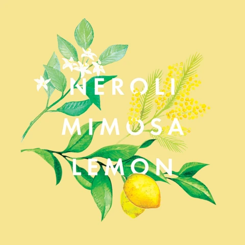 neroli, mimosa, lemon