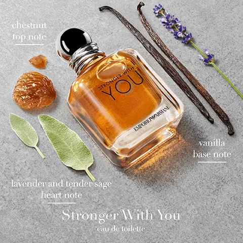 Image 1, chestnut top note STRONGER WITH YOU EMPORIO ARMANI lavender and tender sage heart note Stronger With You eau de toilette vanilla base note Image 2, STRONGER WITH YOU STRONGER WITH YOU STRONGER WITH YOU INTENSELY STRONGER WITH YOU ABSOLUTELY EMPORIO ARMAN EMPORIO ARMAN EMPORIO ARMANI EDT FRESH AMBERY SWEET & FRESH MEDIUM PROJECTION EVERYDAY INTENSITY.. LONGEVITY.. EDP INTENSE AMBERY ALL-DAY PERFORMANCE BIG PROJECTION DAY-TO-NIGHT INTENSITY... LONGEVITY... PARFUM POWERFUL AMBERY EMPORIO ARMANI LONG LASTING TRAIL POWERFUL PROJECTION DATE NIGHT INTENSITY.... LONGEVITY....