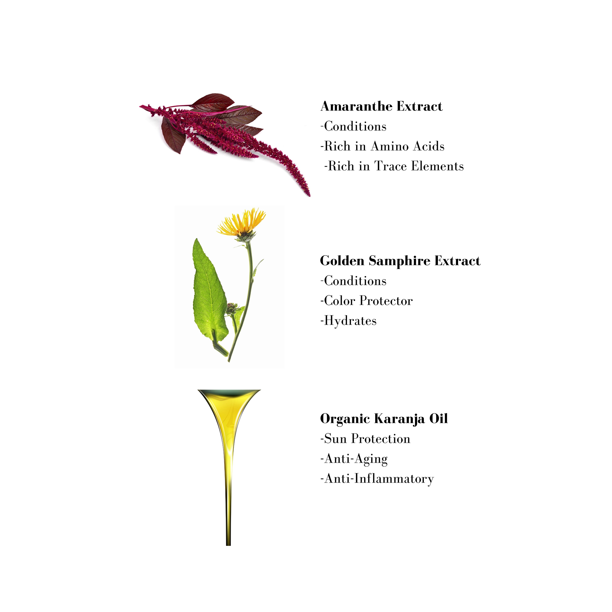 Image 1- Amaranthe Extract -Conditions -Rich in Amino Acids -Rich in Trace Elements
              Golden Samphire Extract -Conditions -Color Protector -Hydrates Organic Karanja Oil -Sun Protection -Anti-Aging -Anti-Inflammatory