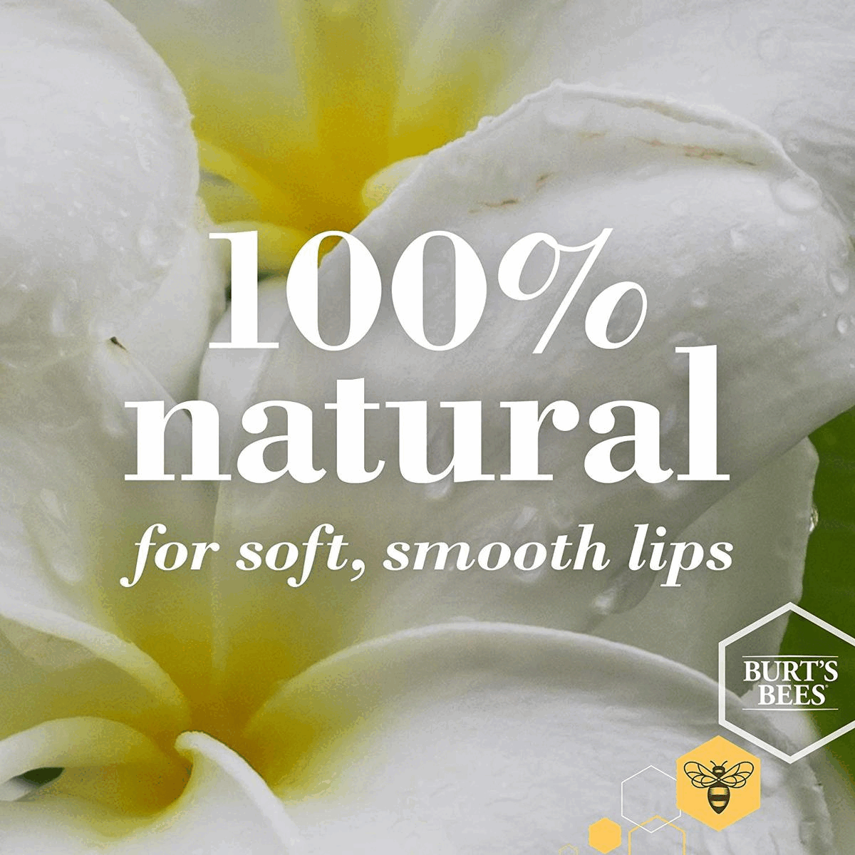 for soft, smooth lips,
            KIND TO SKIN & PLANET SINCE 1984 
            Ingredients From Nature 
            Leaping Bunny Certified 
            Landfill-free Operations 
            oiA 
            Responsible Sourcing 
            Recyclable Packaging
