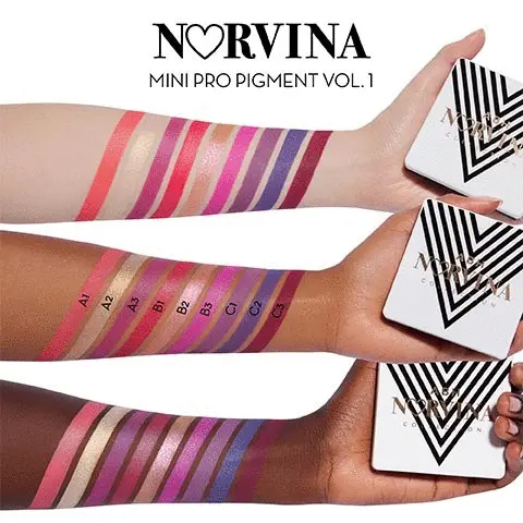 Norvina pro pigment volume 1. The image shows three arms each holding the palette. Each arm has coloured shades on it that are name via a letter and number: A1, A2, A3, B1, B2, B3, C1, C2, C3.