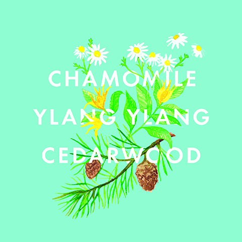 chamomile, ylang ylang, cedarwood.