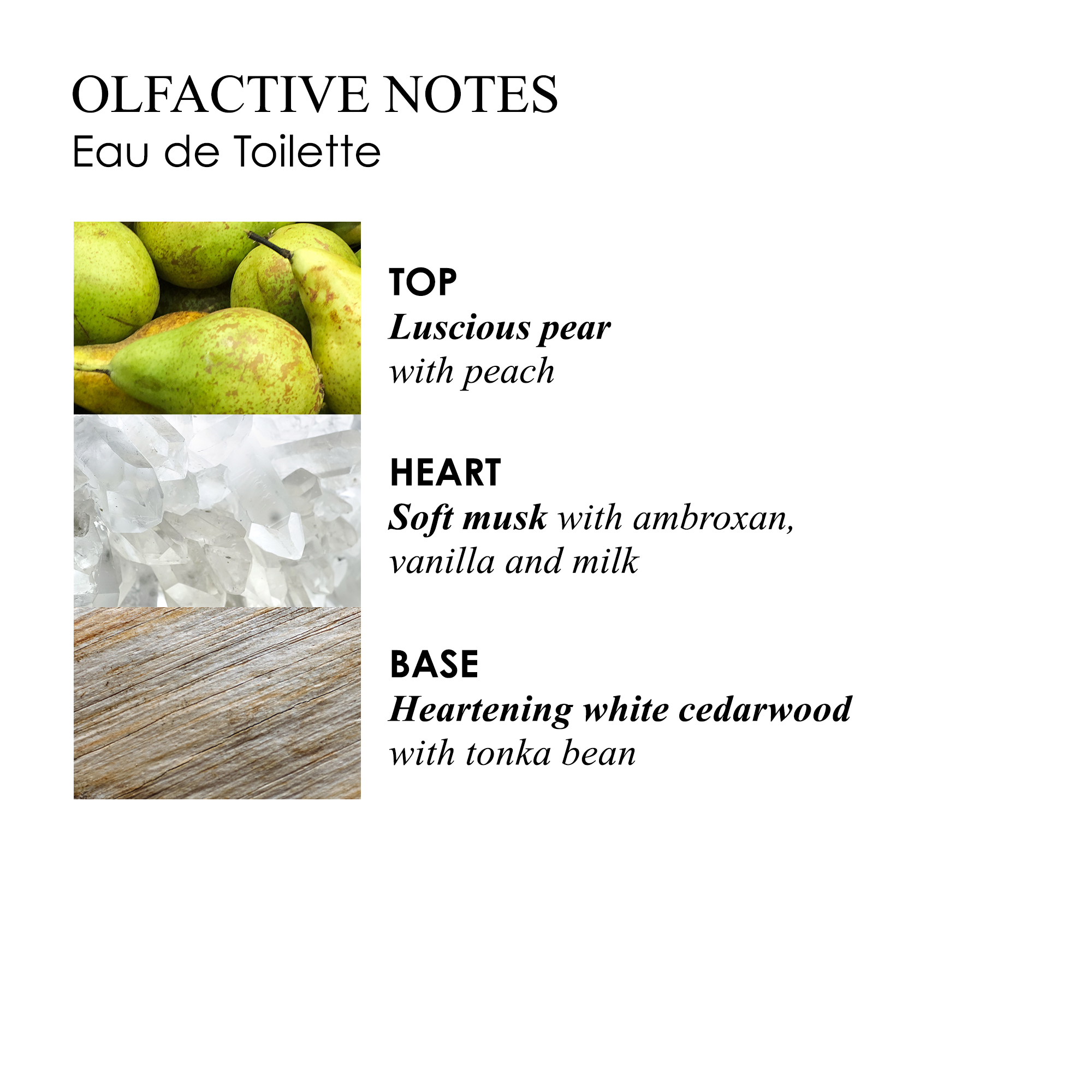 OLFACTIVE NOTES
                                  Eau de Toilette
                                  TOP
                                  Luscious pear
                                  with peach
                                  HEART
                                  Soft musk with ambroxan,
                                  vanilla and milk
                                  BASE
                                  Heartening white cedarwood
                                  with tonka bean