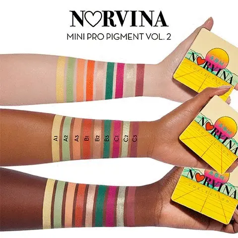 Norvina mini pro pigment volume 2. The image shows three arms each holding the colourful palette. Each arm has coloured shades on it that are name via a ltter and number: A1, A2, A3, B1, B2, B3, C1, C2 and C3.