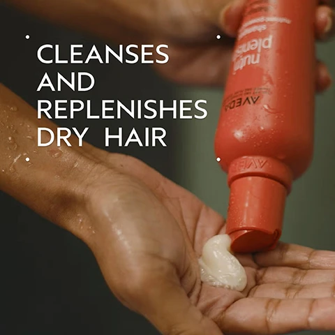 Image 5 - A hand with water droplets catches a dollop of white product being squeezed from a red Aveda Nutriplenish bottle, with visible text CLEANSES AND REPLENISHES DRY HAIR Aveda nutriplenish. Image 6 - A split image shows a woman with curly hair, before on the left with unwashed, frizzy hair, and after on the right with smooth, defined curls, captioned with the text BEFORE, AFTER, Unwashed Hair, and Results with Nutriplenish™ Shampoo and Conditioner: Deep Moisture, Nutriplenish Leave-In Conditioner, Curl Gelee, Replenishing Overnight Serum and Wooden Paddle Brush. Blow dried with diffuser attachment. Image 7 - The image features a dark green background with a large central circle displaying a swirling mix of red, gold, and brown liquids, accompanied by the text SUPERFOOD COMPLEX, POMEGRANATE SEED OIL, COCONUT OIL, MANGO BUTTER, Hydrates and replenishes dry, depleted hair, and Lorem ipsum. Image 8 - The image shows a three-step hair care routine against a dark green background, with circular photos illustrating each step: a person washing lathered hair, a hand dispensing conditioner, and a hand dispensing styling gel, with text that reads HOW TO USE 01 CLEANSE Nutriplenish™ Shampoo: Deep Moisture 02 CONDITION Nutriplenish™ Conditioner: Deep Moisture & Leave-In Conditioner 03 STYLE Nutriplenish™ Curl Gelee & Replenishing Overnight Serum. Image 9 - A dark green leafy background features three white certification logos: the first with a V and the text 100% VEGAN written twice, the second stating Certified B Corporation, and the third featuring a jumping rabbit and the text Cruelty Free INTERNATIONAL.
