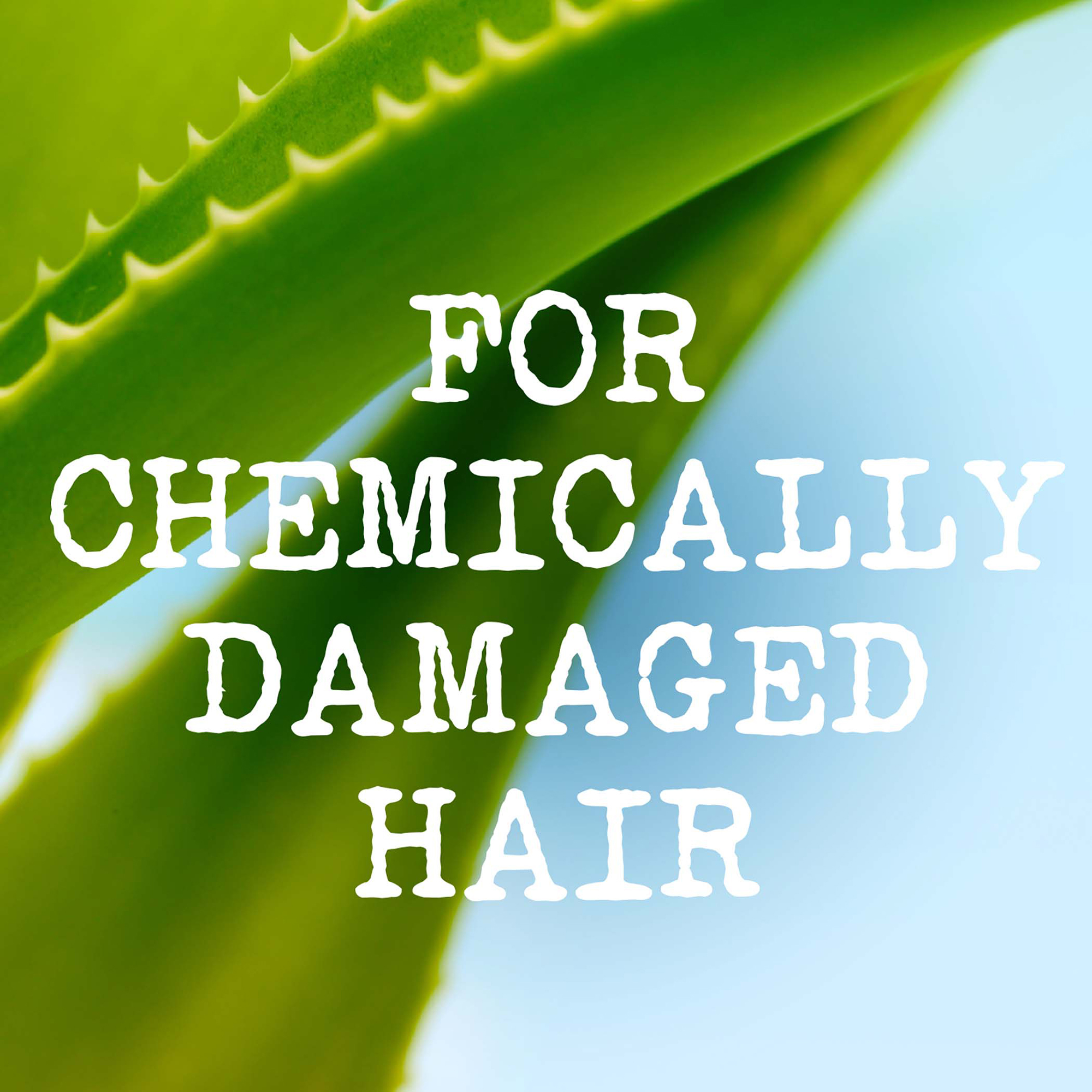for chemically damaged hair