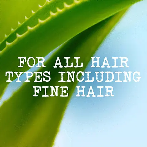 Image 1, for all hair types including fine hair. Image 2, consumer feedback. Image 3, lightly moisturise and hydrate hair without residue or heaviness