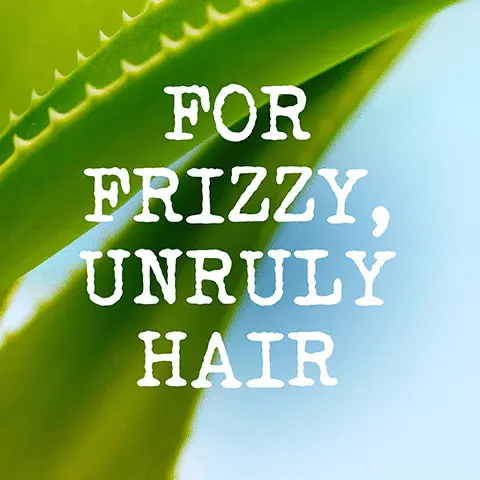 Image 1, for frizzy, unruly hair. Image 2, consumer feedback. Image 3, defrizz, soften and smooth hair