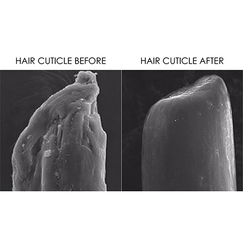 Hair Cuticle Before, Hair Cuticle After.
