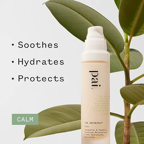 Image 1 - A bottle of Pais Calming Moisturizer is shown with a green plant in the background, accompanied by text listing its benefits: Soothes, Hydrates, Protects, and labeled CALM at the bottom.
              Image 2 - A skincare product bottle is shown next to a green jar, with a quote praising the moisturizer for sensitive skin, attributed to Janine M., alongside various certification logos including Organic and Vegan.