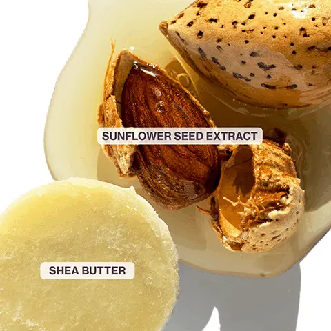 Image 1, sunflower seed extract shea butter Image 2, benefit nourishes and softens dry color treated hair