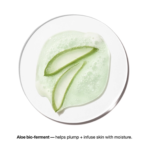 Aloe bio- ferment- Helps plump and infuse skin with moisture