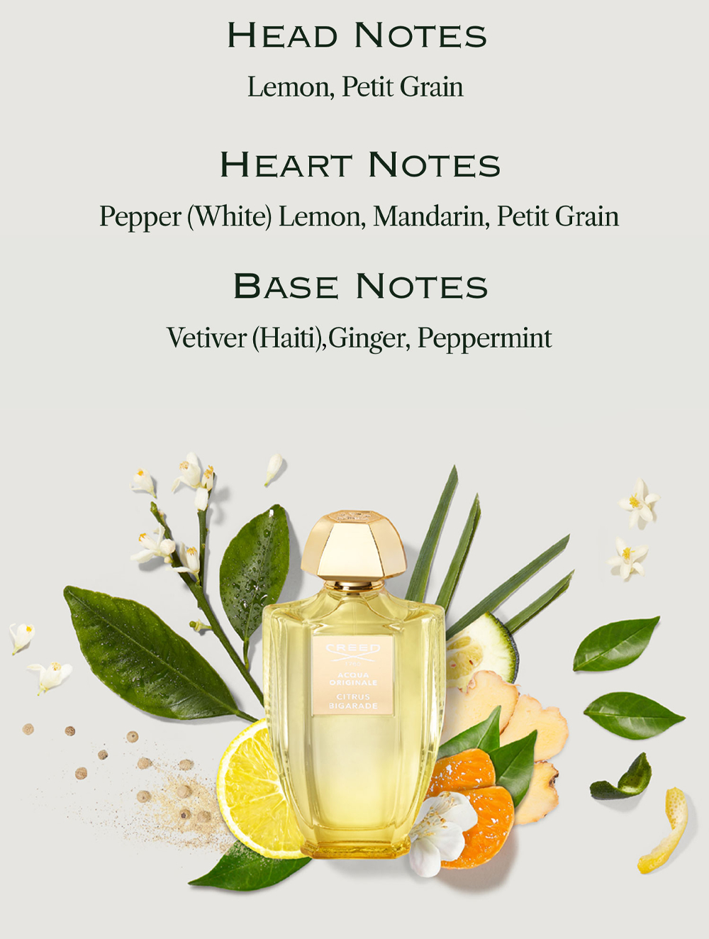A perfume bottle surrounded by citrus fruit, ginger, peppercorns, leaves, and white flowers, with text reading HEAD NOTES Lemon, Petit Grain HEART NOTES Pepper (White) Lemon, Mandarin, Petit Grain BASE NOTES Vetiver (Haiti), Ginger, Peppermint, and on the bottle CREED 1760 ACQUA ORIGINALE CITRUS BIGARADE.