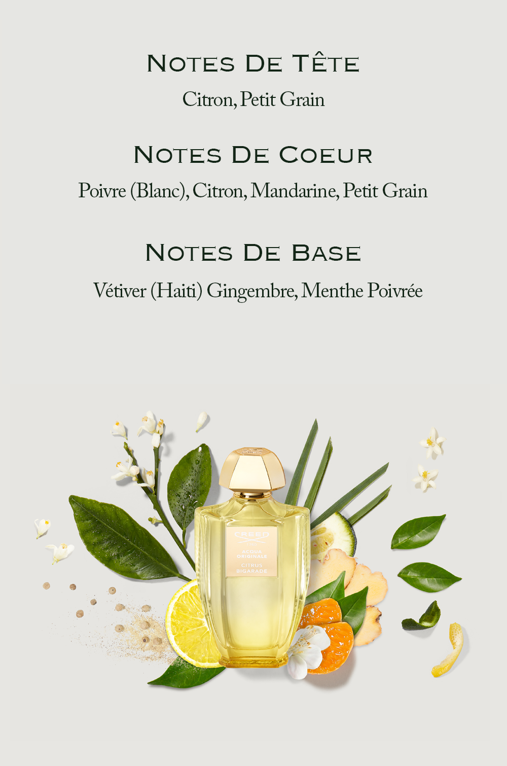 A bottle of Creed Acqua Originale Citrus Bigarade perfume is surrounded by citrus slices, leaves, flowers, peppercorns, and ginger slices, with the text NOTES DE TÊTE Citron, Petit Grain NOTES DE COEUR Poivre (Blanc), Citron, Mandarine, Petit Grain NOTES DE BASE Vétiver (Haiti) Gingembre, Menthe Poivrée above.