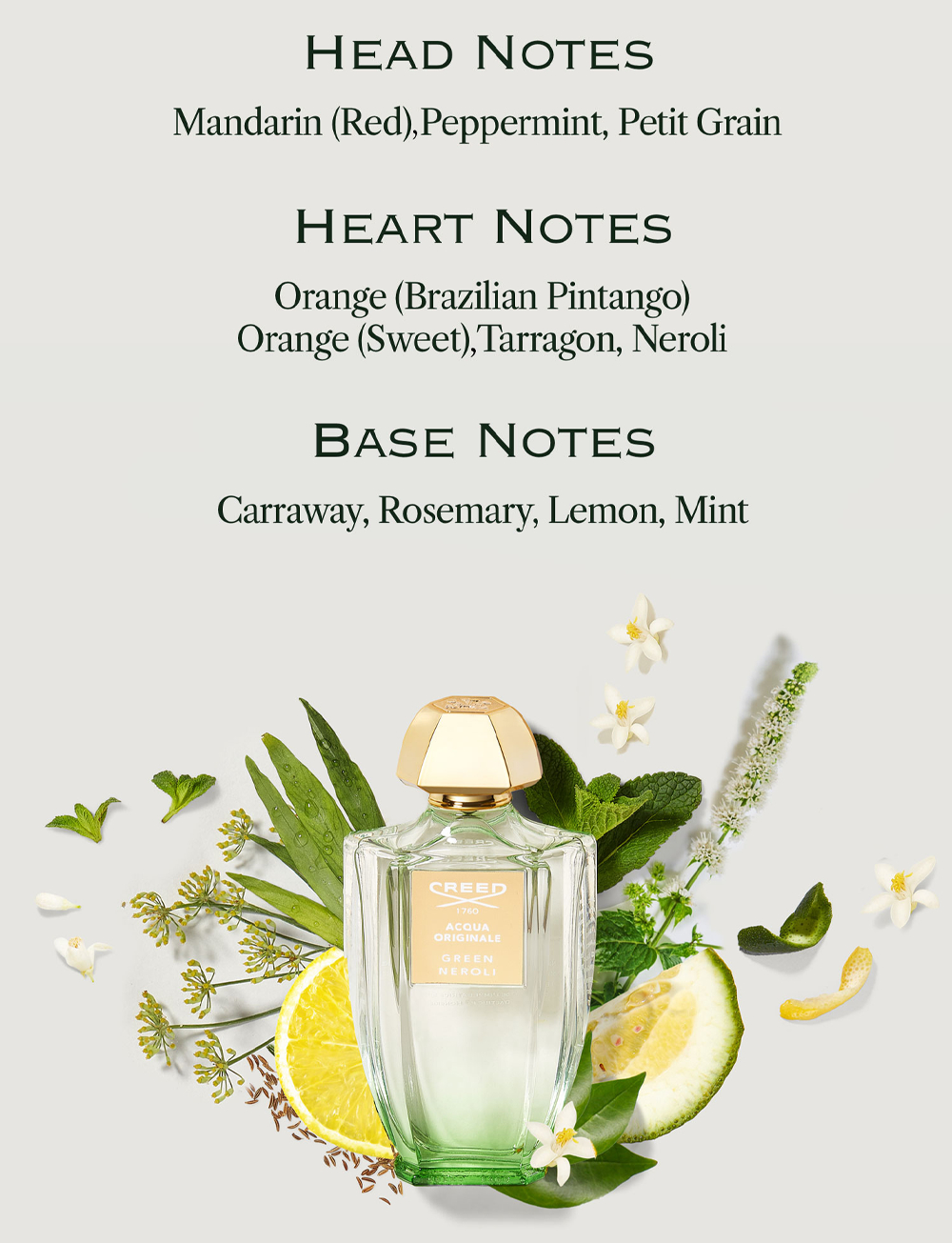 An image showing a perfume bottle among fragrance ingredients like citrus, herbs, and flowers, with text listing Head Notes Mandarin (Red),Peppermint, Petit Grain, Heart Notes Orange (Brazilian Pintango) Orange (Sweet),Tarragon, Neroli, and Base Notes Caraway, Rosemary, Lemon, Mint, plus text on the bottle reading CREED 1760 ACQUA ORIGINALE GREEN NEROLI.