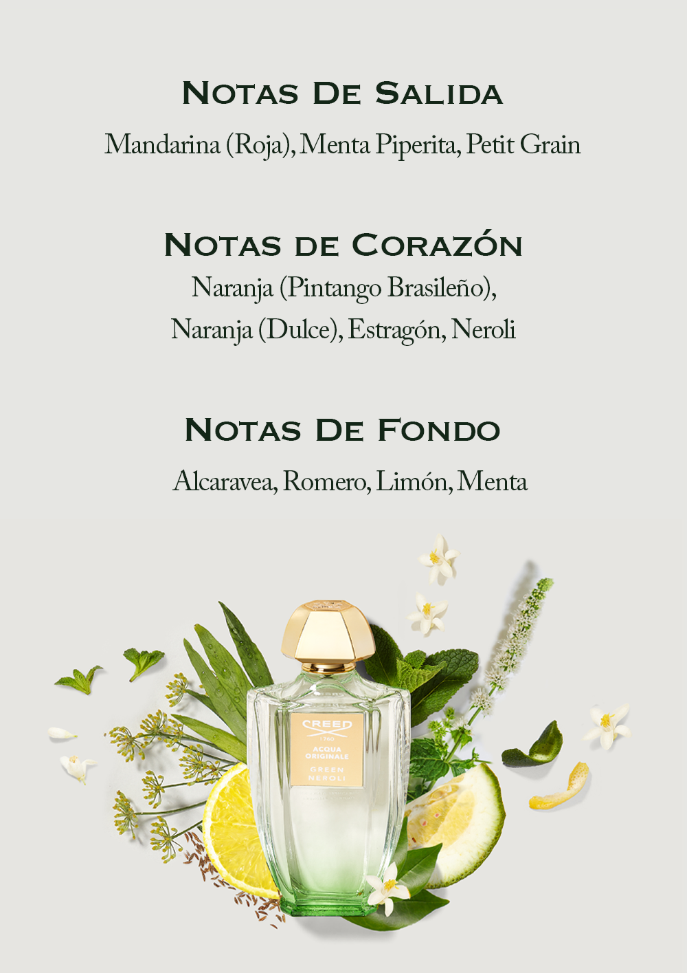 A bottle of Creed Green Neroli perfume surrounded by citrus slices and herbs is shown with text listing fragrance notes above NOTAS DE SALIDA Mandarina (Roja), Menta Piperita, Petit Grain NOTAS DE CORAZÓN Naranja (Pintango Brasileño), Naranja (Dulce), Estragón, Neroli NOTAS DE FONDO Alcaravea, Romero, Limón, Menta CREED 1760 ACQUA ORIGINALE GREEN NEROLI.