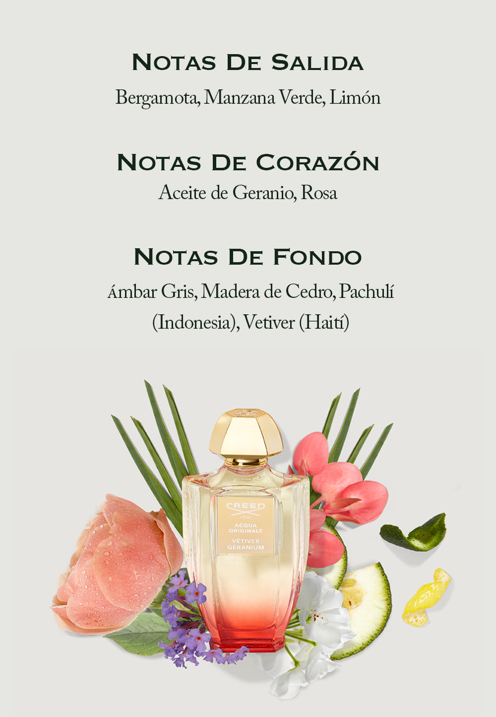 Image displaying perfume notes NOTAS DE SALIDA Bergamota, Manzana Verde, Limón, NOTAS DE CORAZÓN Aceite de Geranio, Rosa, NOTAS DE FONDO Ámbar Gris, Madera de Cedro, Pachulí (Indonesia), Vetiver (Haití) and a bottle of Creed perfume surrounded by flowers and citrus, with text CREED 1760 ACQUA ORIGINALE VETIVER GERANIUM on the bottle.