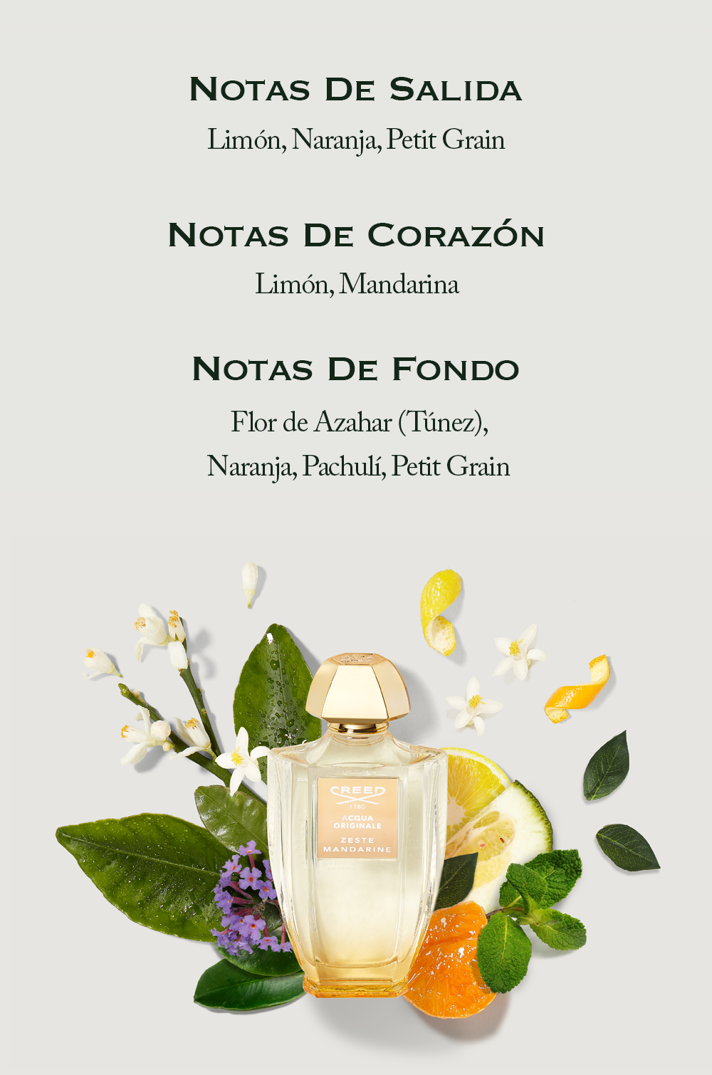 A Creed perfume bottle is shown with orange slices, lemons, and flowers, with text listing fragrance notes for different stages: NOTAS DE SALIDA Limón, Naranja, Petit Grain NOTAS DE CORAZÓN Limón, Mandarina NOTAS DE FONDO Flor de Azahar (Túnez), Naranja, Pachulí, Petit Grain.