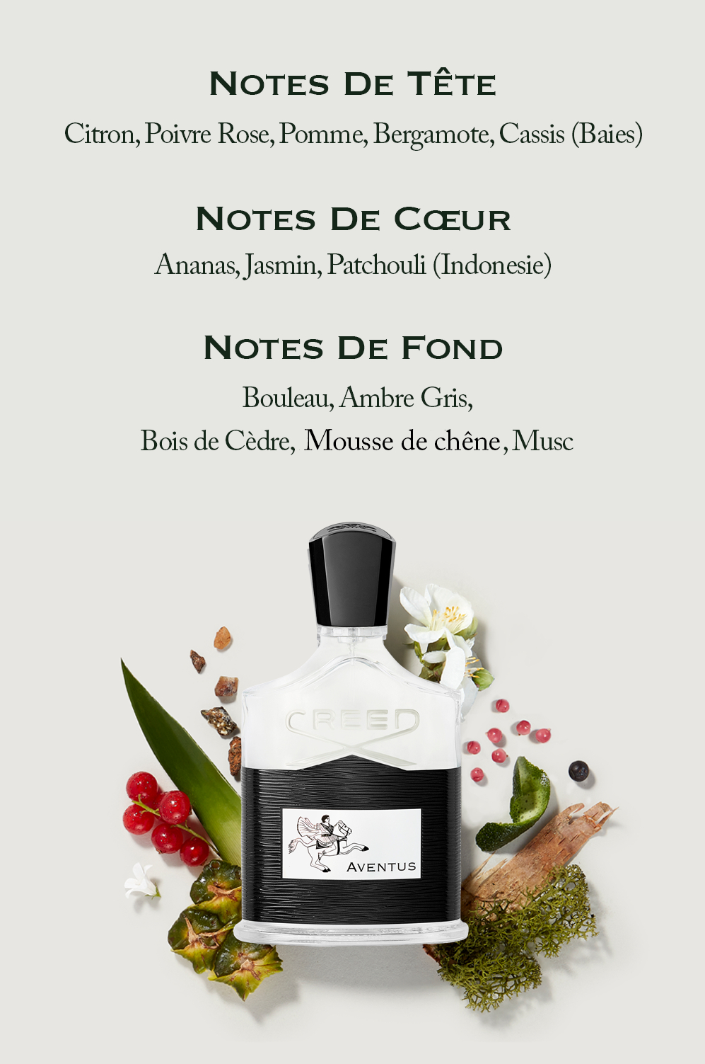 NOTES DE TÊTE Citron, Poivre Rose, Pomme, Bergamote, Cassis (Baies)NOTES DE CŒUR Ananas, Jasmin, Patchouli (Indonesie)NOTES DE FOND Bouleau, Ambre Gris, Bois de Cèdre, Mousse de chêne, Musc