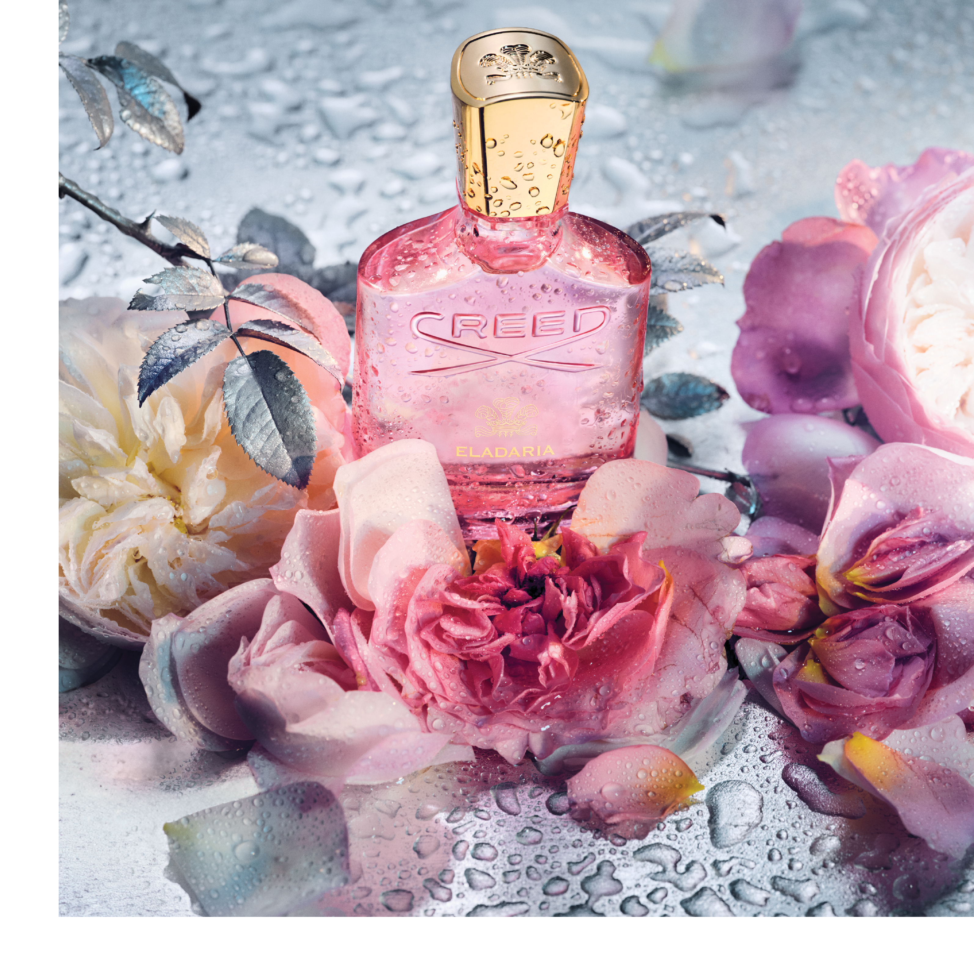 Pink Creed perfume bottle surrounded by roses and water droplets with the text CREED ELADARIA on the bottle.