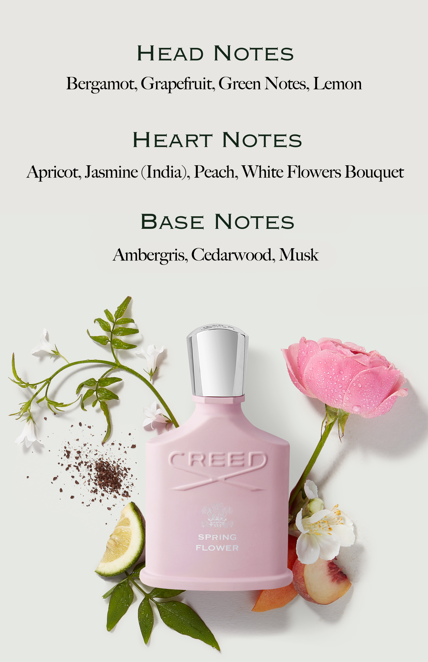 Head Notes, Bergamot, Grapefruit, Green Notes, Lemon. Heart Notes, Apricot, Jasmine (India), Peach, White Flowers Bouquet. Base Notes, Ambergris, Cedarwood, Musk.