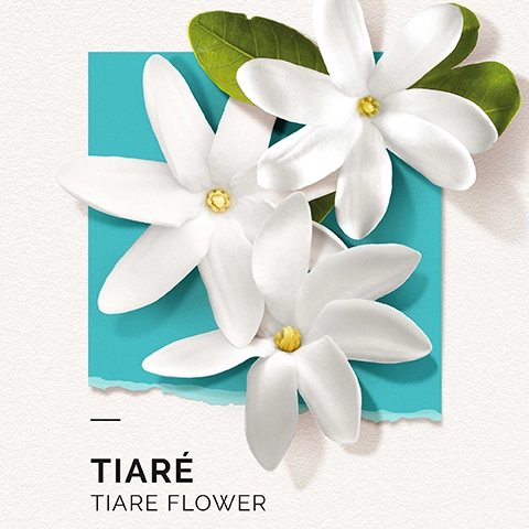 tiare - tiare flower