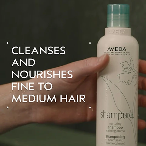 Image 10 - A four-step hair care routine on a dark green background with circular images showing a person washing hair, conditioner being squeezed into a hand, a hand holding a spray bottle, and a hand holding a hairspray can, with text that reads HOW TO USE 01 CLEANSE Shampure Nurturing Shampoo 02 CONDITION Shampure Nurturing Conditioner 03 PREP Smooth Infusion Style-Prep Smoother 04 STYLE Control Paste and Control Force. Image 11 - Three white certification logos, including a 100% Vegan logo, a Certified B Corporation logo, and a Cruelty Free International Leaping Bunny logo, are displayed on a background of dark green tropical leaves. Image 6 - A hand holds an Aveda shampure shampoo bottle with a light green cap and water droplets, next to text that reads CLEANSES AND NOURISHES FINE TO MEDIUM HAIR, AVEDA THE ART AND SCIENCE OF PURE FLOWER AND PLANT ESSENCES shampure nurturing shampoo calming aroma shampooing nourrissant arome calmant. Image 7 - A hand collects white cream being dispensed from an Aveda bottle, with text overlay that reads INSTANTLY DETANGLES, NOURISHES AND ADDS SHINE. Image 8 - A split image shows a woman with shoulder-length light brown hair and orange tips, straight and unwashed on the left, and wavy and styled on the right, demonstrating the results of hair products. BEFORE AFTER Unwashed Hair Results with Shampure Nurturing Shampoo and Conditioner, Smooth Infusion Style-Prep Smoother, Control Paste and Control Force. Blow dried hair. Image 9 - A display of lavender, white flowers, and yellow ylang-ylang flowers on a light blue circle against a dark green background with text that reads POWER YOUR PEACE and A CALMING AROMA WITH A BLEND OF 25 PURE FLOWER AND PLANT ESSENCES INCLUDING LAVENDER, PETITGRAIN, AND YLANG YLANG.