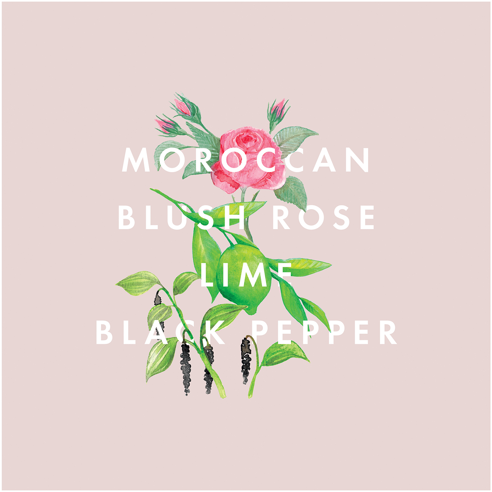 Text, Moroccan Blush Rose, Lime, Black Pepper