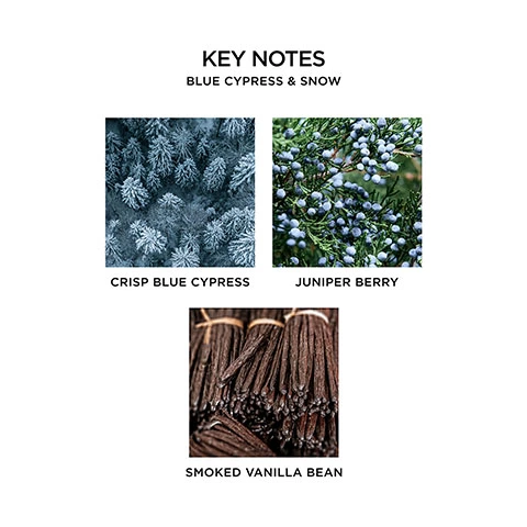 Key notes, Blue Cypress and Snow. Crisp Blue Cypress. Juniper Berry. Smoked Vanilla Bean