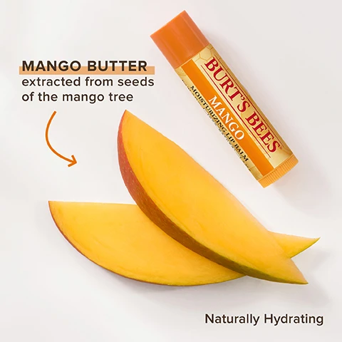 Image 1, mango butter extracted from seeds of the mango tree. naturally hydrating Image 2, customer review on burtsbees.co.uk, 5 stars, it's the most moisturising lip balm i have ever used. Image 3, kind to skin and planet since 1984. ingredients from nature, responsible sourcing, leaping bunny certified, recyclable packaging, landfill free operations, carbon neutral certified.