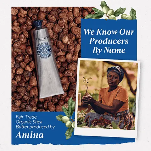 100% fair trade. certified shea butter since 2009. We know our producers by name. Fair-Trade, Organic Shea Butter produced by Amina