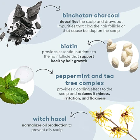 Image 1 - An infographic detailing hair care ingredients, including binchotan charcoal, biotin, peppermint and tea tree complex, and witch hazel, each with descriptions of their benefits for hair and scalp health.
              Image 2 - Image features various products from the Briogeo Scalp Revival collection displayed on a pastel background, including a coconut half, a small bowl of charcoal, and visible text that reads Scalp Revival collection clinically proven to increase scalp hydration.