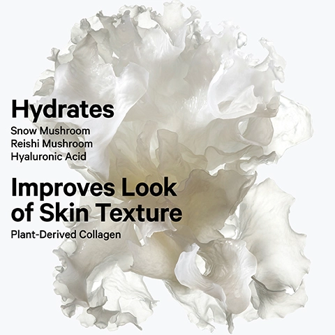 Hydrates, snow mushroom, reishi mushroom, hyaluronic acid. Improves look of skin texture, plant-derived collagen.