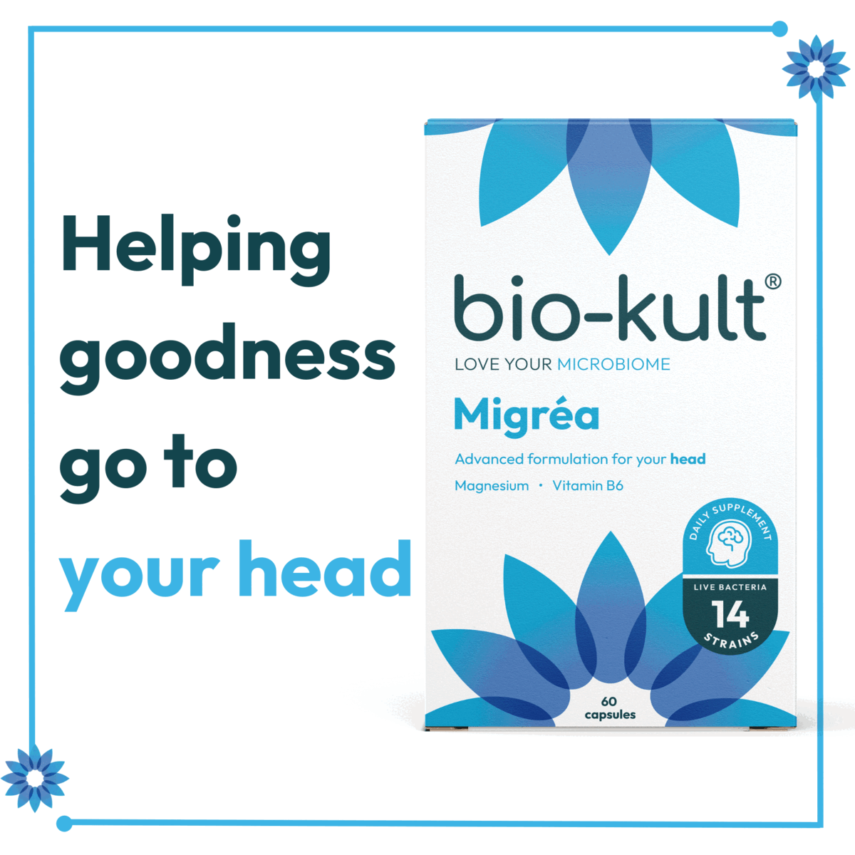 Helping goodness go to your head, the little flower with a whole lot of power, new look some award winning bacteria inside!higly recommended - life saver, fantastic - i just can't believe it, great product, we can't hold in our exictment!