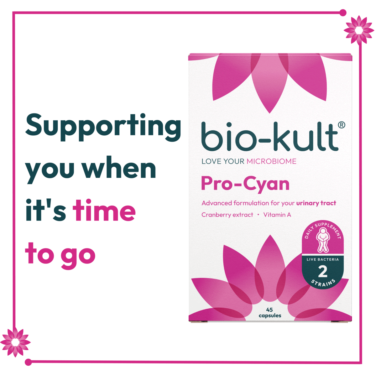 Supporting bio-kult 
              you when is time to go, the little flower with a whole lot of power, new look some award winning bacteria inside!higly recommended - life saver, fantastic - i just can't believe it, great product, we can't hold in our exictment!